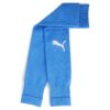 PUMA teamGOAL – Calcetines de manga