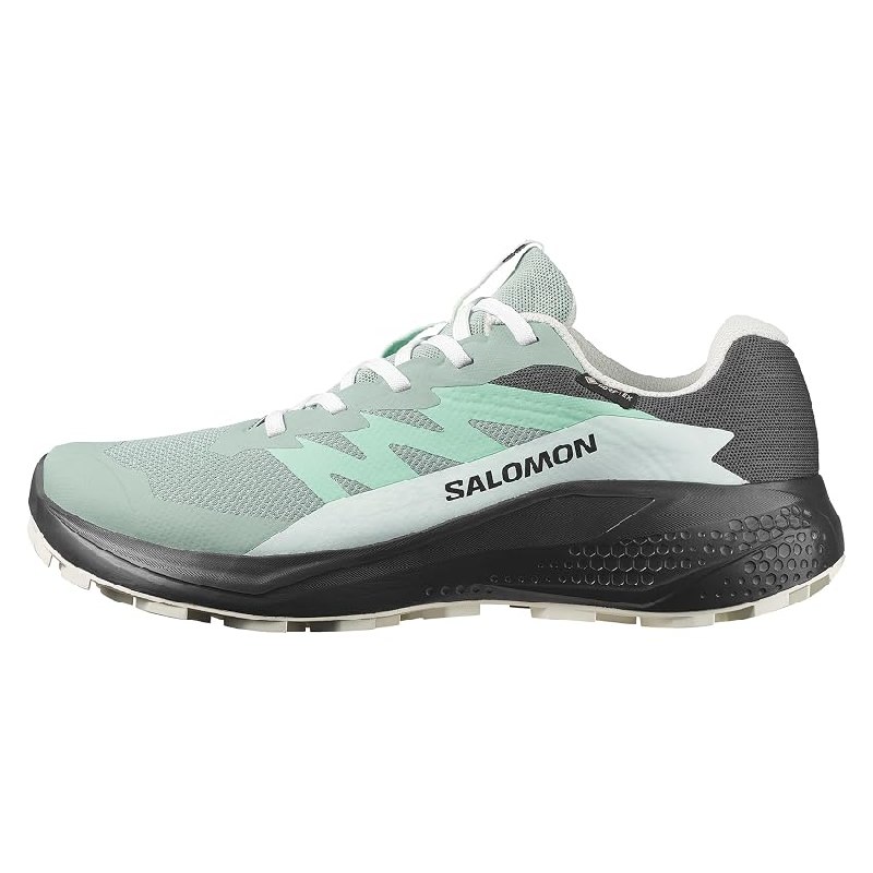 SALOMON ALPHAGLIDE Gore-Tex Impermeables Zapatillas de Senderismo para Mujer