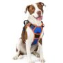 rabbitgoo Arnes Perro Grande, Arnes Perro Antitirones Coche con Lineas Reflecantes