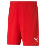 Puma Pantalones Cortos teamRISE Short