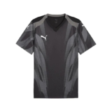 PUMA teamFINAL Graphic+ Jersey